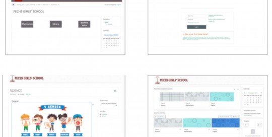 eLearning Consulting LMS for a School