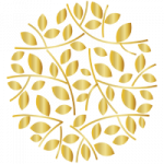 Title Separator Circle Title Separator Circle