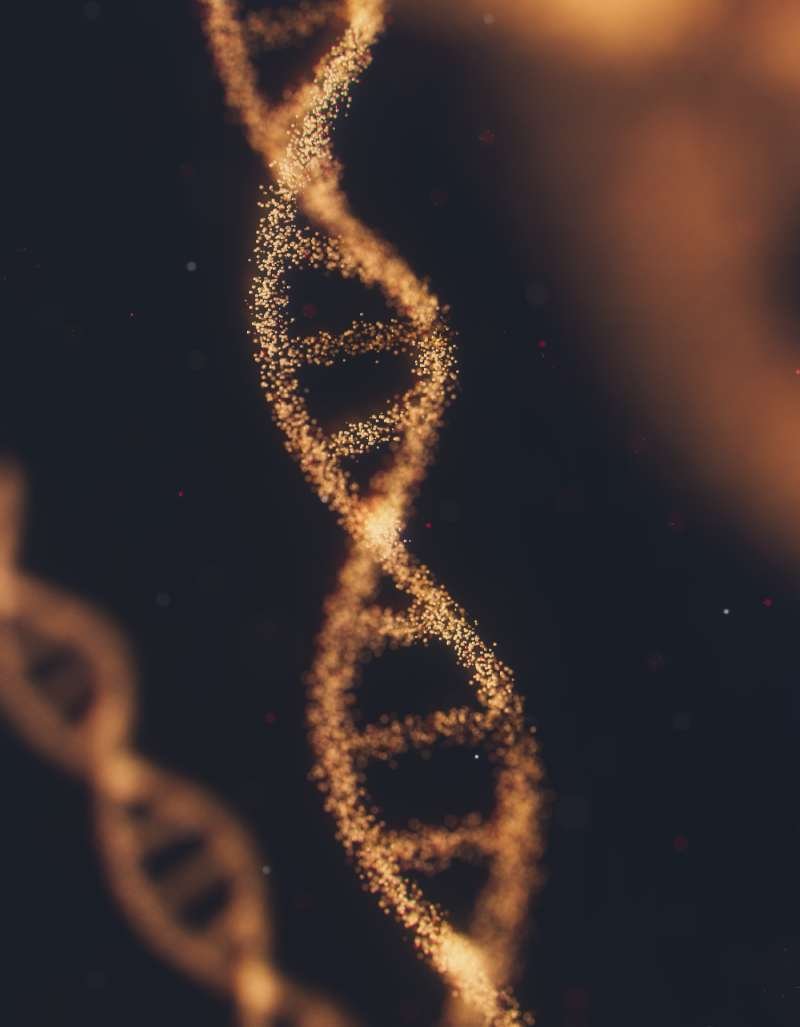 Advanced DNA