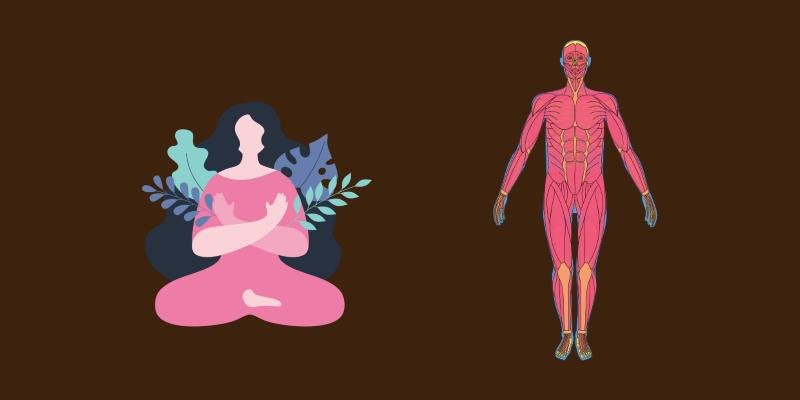 image of human skeleton in pink color, and a woman meditating in pink dress, on a brown background showing the essence of ThetaHealing Intuitive Anatomy seminar